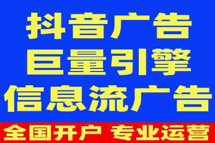 行业领先企业的SEM代理案例剖析